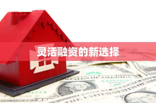 高要灵活融资的新选择