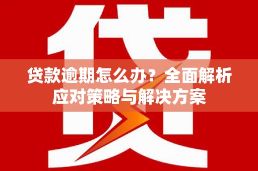 莱西贷款逾期怎么办？全面解析应对策略与解决方案