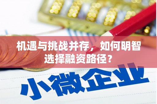 嘉定机遇与挑战并存，如何明智选择融资路径？