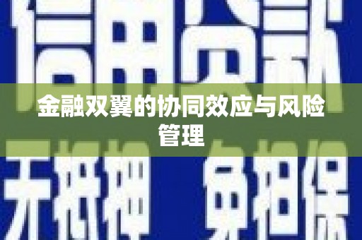 福建金融双翼的协同效应与风险管理