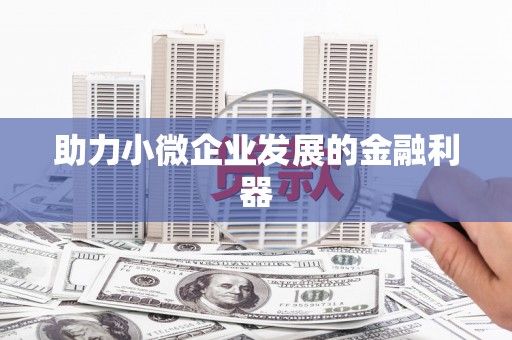 洋县助力小微企业发展的金融利器